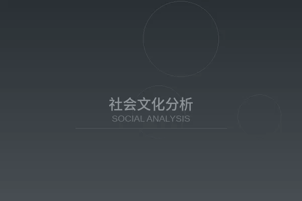 日本女优行业社会文化分析